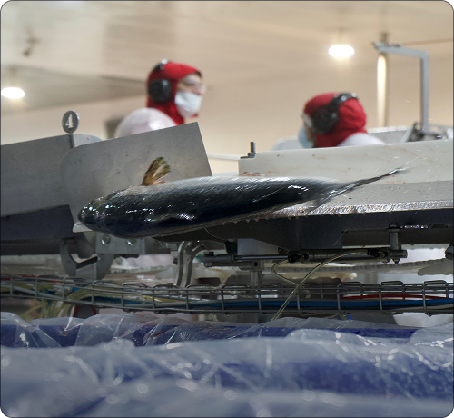 Ajuste dinámico de criterios K-Factor en tiempo real