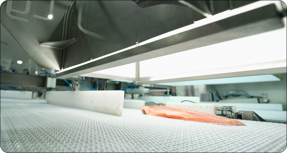 Q-Scan detectando defectos en filetes de salmón