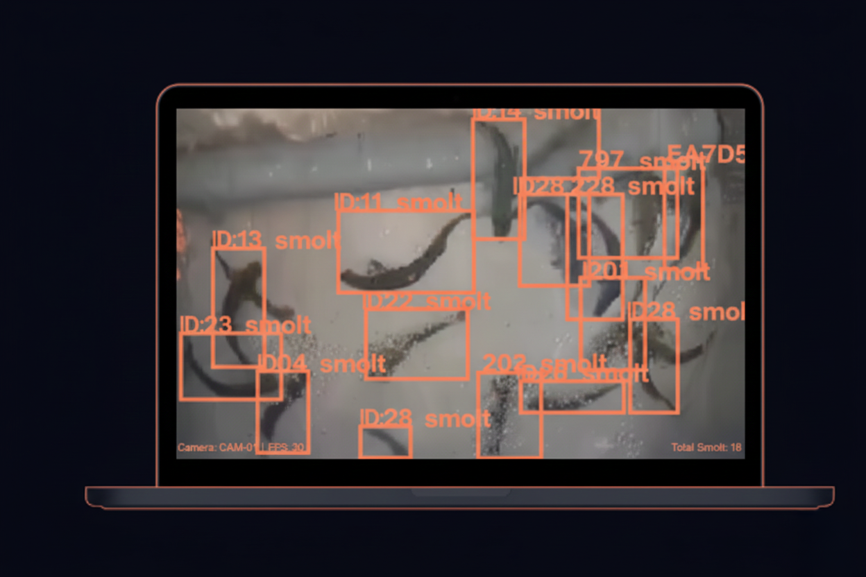Hardware Smolt Tracker en piscicultura