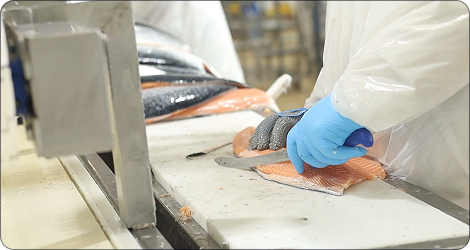 TRIM detectando excesos de corte en filetes de salmón