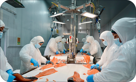 Alianzas estratégicas con líderes en acuicultura