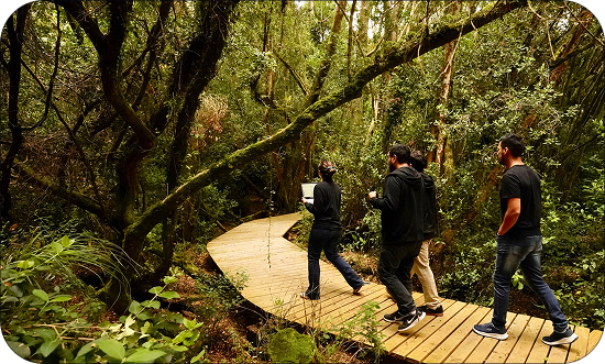 Presencia en plantas de proceso y centros de cultivo
